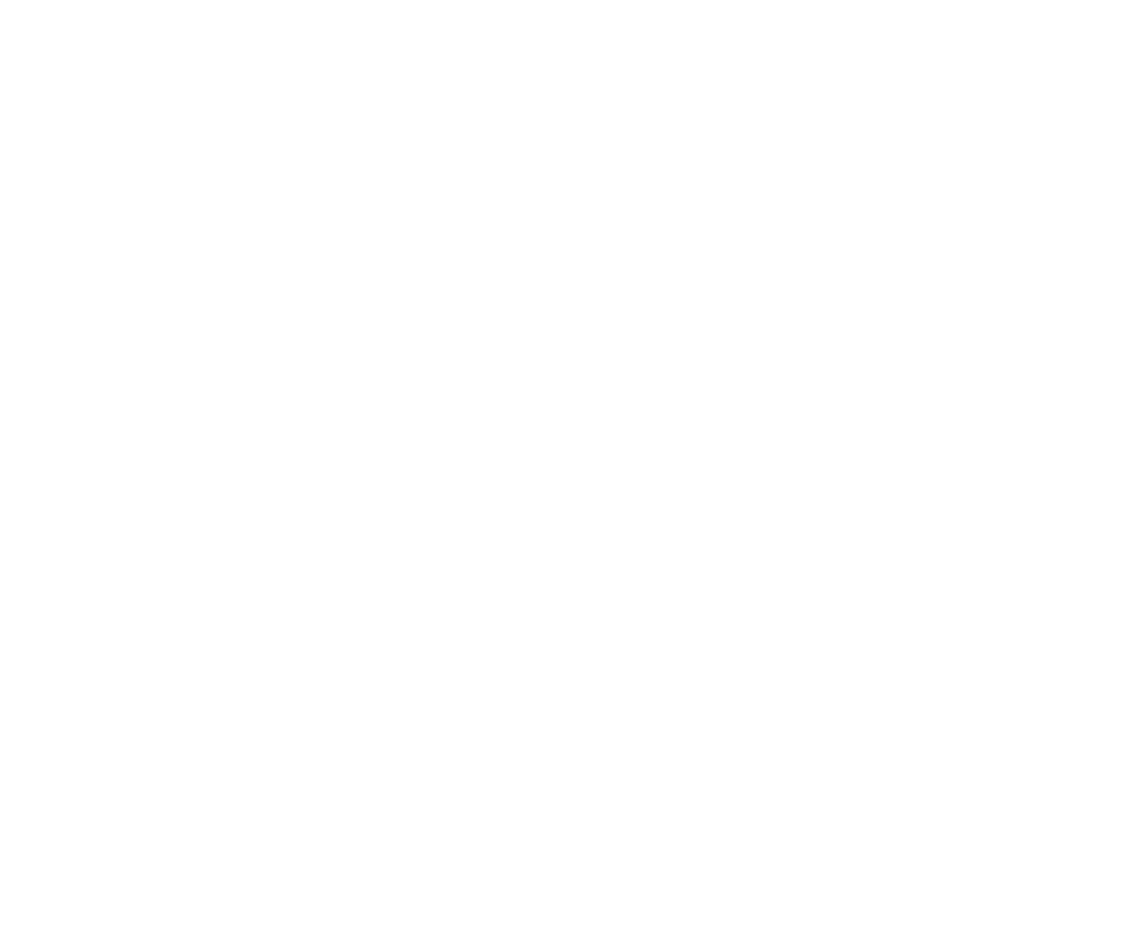 Diligencia Consulting Logo